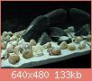         

:  DSC00002.JPG
:  341
:  133,1 KB