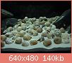         

:  DSC00004.JPG
:  293
:  139,6 KB