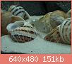         

:  DSC00009.JPG
:  266
:  150,7 KB