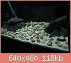         

:  DSC00011.JPG
:  281
:  118,1 KB