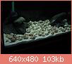         

:  DSC00012.JPG
:  276
:  103,3 KB