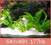         

:  IMG_0905.jpg
:  254
:  177,2 KB