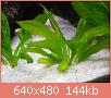         

:  IMG_0906.jpg
:  246
:  143,6 KB