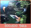         

:  IMG051.jpg
:  199
:  53,7 KB