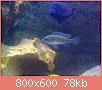         

:  26012010244.jpg
:  256
:  78,3 KB