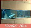         

:  28082009421.jpg
:  212
:  36,4 KB