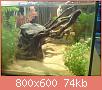         

:  DSC00230.jpg
:  594
:  74,0 KB
