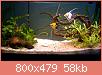         

:  aquarium 001.jpg
:  492
:  57,8 KB