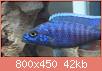         

:  06022010283.jpg
:  308
:  42,1 KB