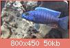         

:  06022010281.jpg
:  283
:  49,5 KB
