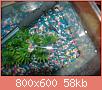        

:  foto 010.jpg
:  354
:  57,6 KB