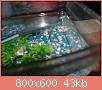        

:  foto 013.jpg
:  343
:  43,2 KB