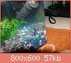         

:  foto 015.jpg
:  364
:  56,8 KB