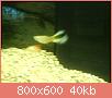         

:  ABCD0004.jpg
:  369
:  40,2 KB