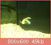         

:  ABCD0005.jpg
:  360
:  48,9 KB