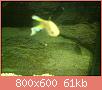         

:  ABCD0006.jpg
:  385
:  61,5 KB