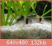         

:  c.adolfoi 2.jpg
:  825
:  132,4 KB