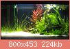         

:  setup3.jpg
:  360
:  223,7 KB
