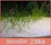        

:  IMG_1036.jpg
:  314
:  238,4 KB