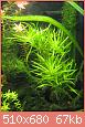         

:  IMG_1044.jpg
:  299
:  67,3 KB