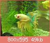         

:  008.jpg
:  339
:  49,1 KB