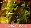         

:  _3288485.jpg
:  288
:  62,5 KB