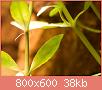         

:  _3288483.jpg
:  276
:  37,5 KB