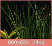         

:  _3288469.jpg
:  301
:  64,5 KB