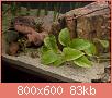         

:  P4118791.jpg
:  411
:  82,8 KB