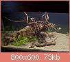         

:  P4118790.jpg
:  405
:  72,6 KB