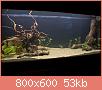         

:  P4118796.jpg
:  415
:  52,5 KB