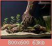         

:  P4118802.jpg
:  382
:  63,2 KB