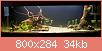         

:  P4118781.jpg
:  370
:  33,6 KB