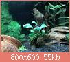         

:  IMG183.jpg
:  335
:  55,3 KB