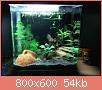        

:  IMG186.jpg
:  344
:  54,5 KB