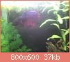         

:  IMG190.jpg
:  339
:  36,7 KB