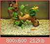         

:  DSC04042a.JPG
:  266
:  212,0 KB
