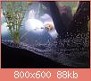         

:  20052010438.JPG
:  457
:  87,7 KB