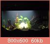         

:  21052010444.JPG
:  470
:  59,9 KB