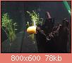         

:  30052010446.JPG
:  470
:  78,3 KB