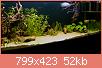         

:  _6160201.jpg
:  372
:  51,7 KB