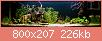         

:  _6160196.jpg
:  403
:  226,1 KB