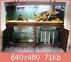         

:  aquarium1.JPG
:  1131
:  70,9 KB