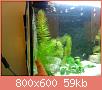         

:  DSC01826.jpg
:  294
:  58,6 KB