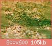         

:  _7031060.jpg
:  827
:  104,7 KB