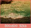         

:  _7031063.jpg
:  786
:  92,0 KB