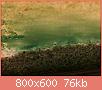         

:  _7031064.jpg
:  803
:  75,7 KB