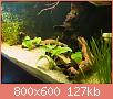         

:  P6129822.jpg
:  378
:  127,1 KB