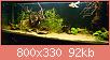         

:  P6129863.jpg
:  337
:  92,0 KB