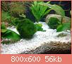         

:  DSC01840.jpg
:  297
:  56,3 KB